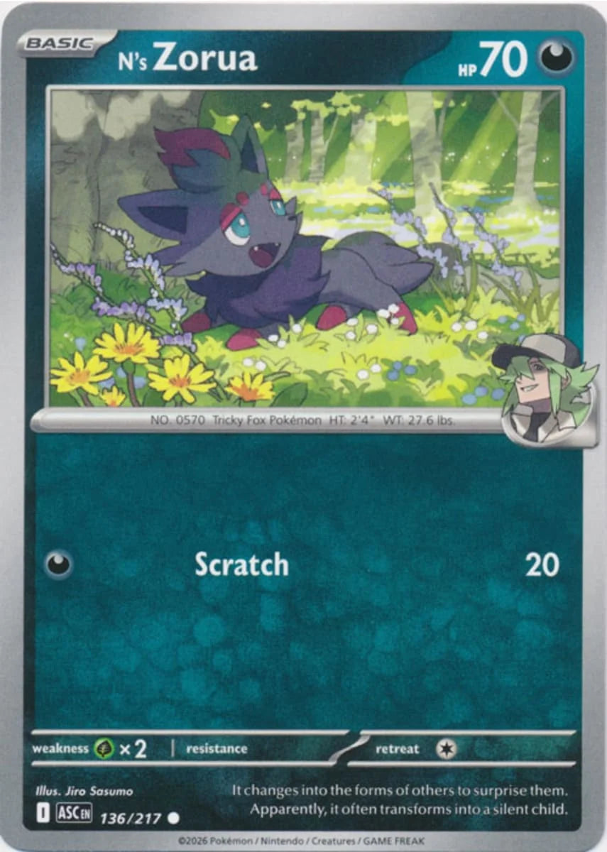 N's Zorua [Common] #136/217 - Ascended Heroes
