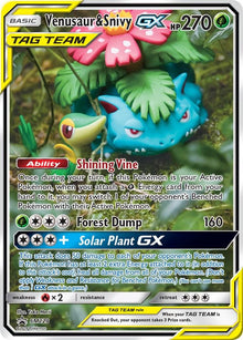 Venusaur & Shinvy GX [Alternate Art Promo] #SM229