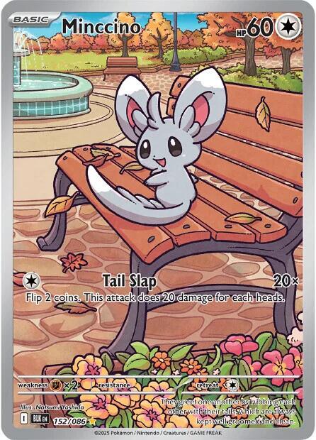 Minccino [Illustration Rare] #152/086 - Black Bolt