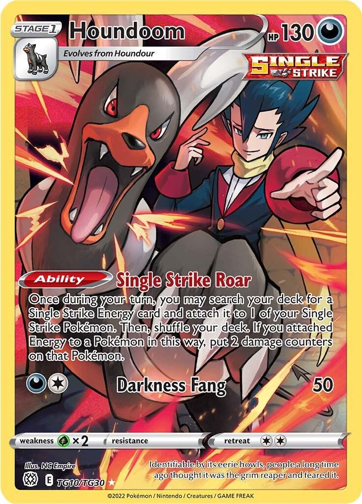 Houndoom [Holo Rare] #TG10/TG30 - Brilliant Stars