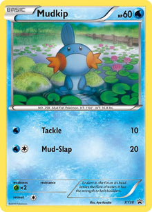 Mudkip [Holo Promo] #XY38
