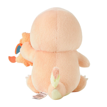 [Pokemon Center] Little Daydream: Charmander & Charizard