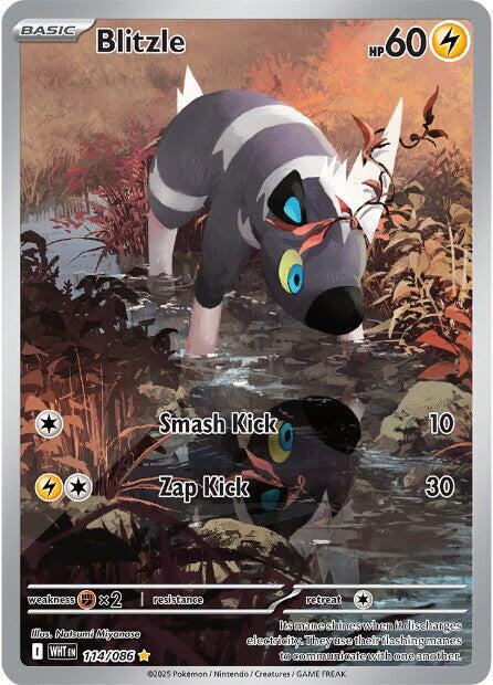 Blitzle [Illustration Rare] #114/086 - Pokemon White Flare