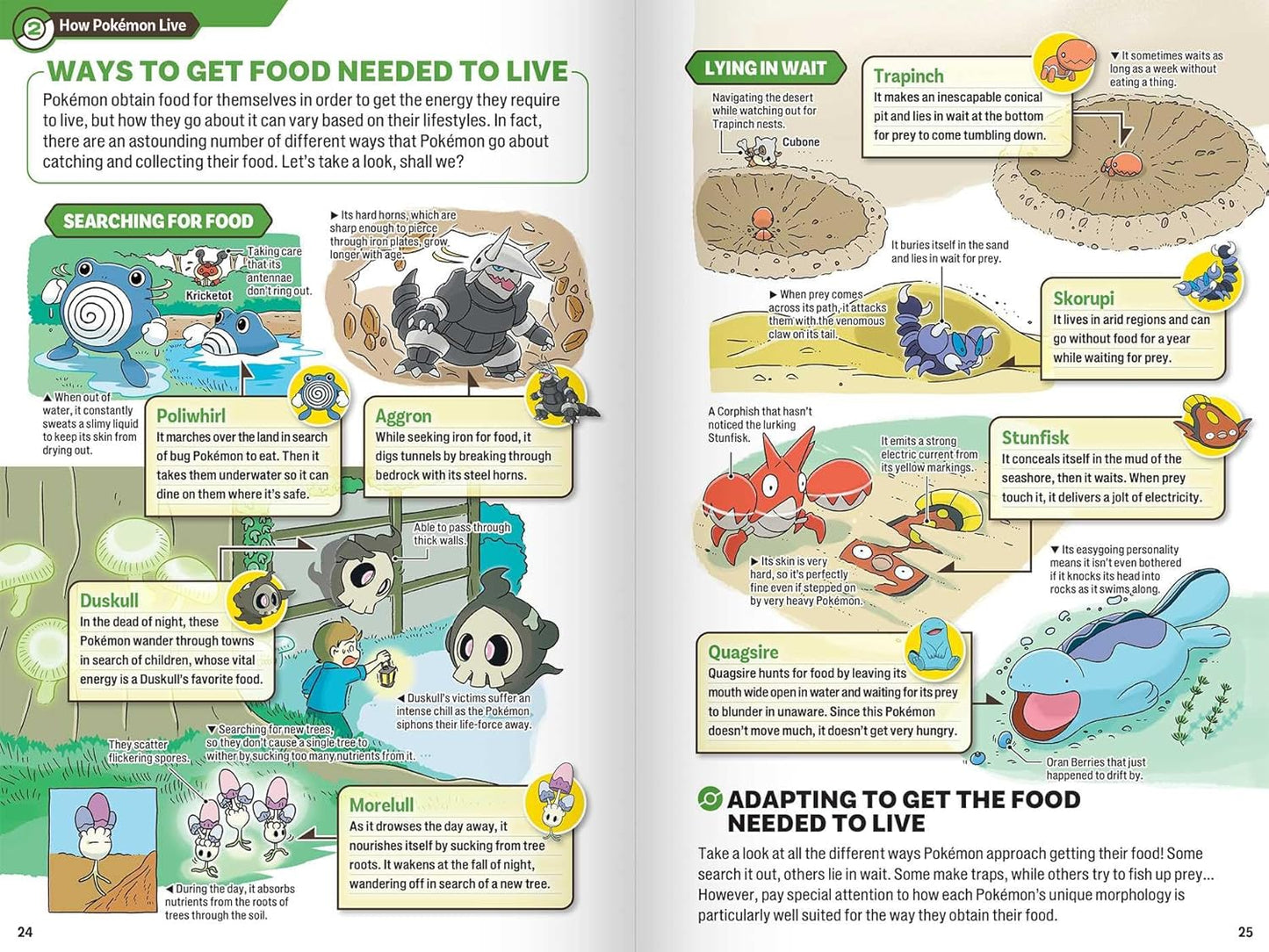 POKECOLOGY AN ILLUSTRATED GUIDE TO  POKÉMON ECOLOGY