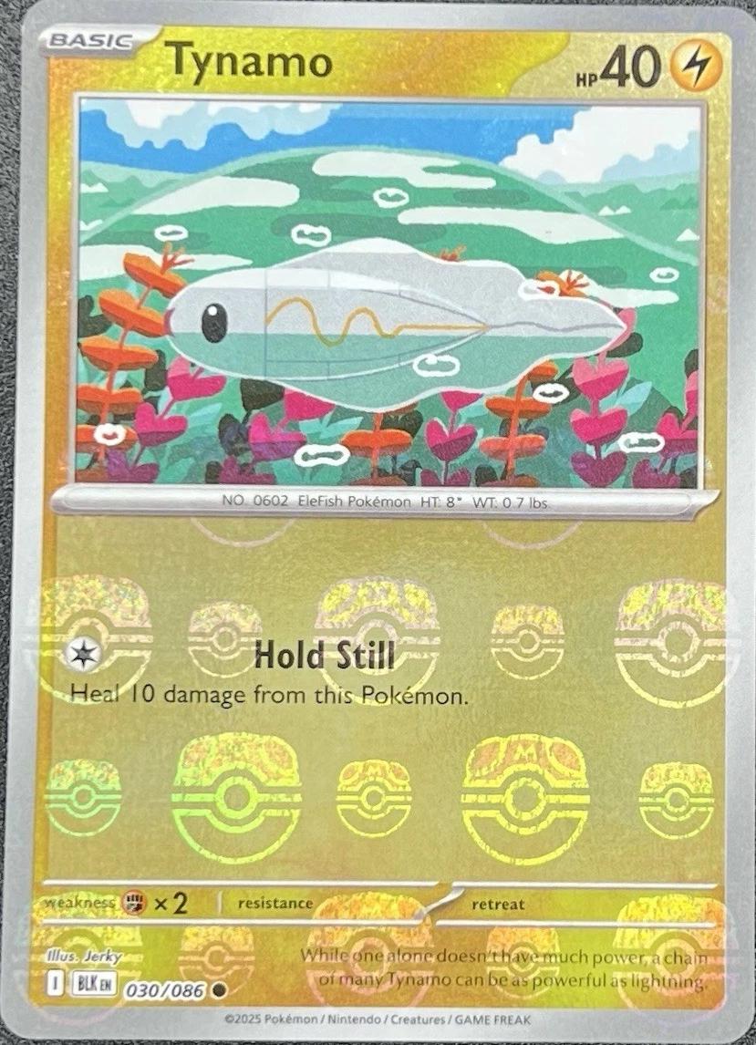 Tynamo [Master Ball] #30 Pokemon Black Bolt