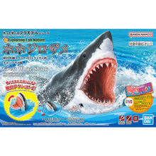 Bandai: Exploring Lab Nature - Great White Shark