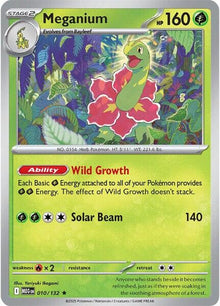 Meganium [Rare] #010/132 - Pokemon Mega Evolution