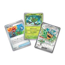 Pokemon: Ogerpon ex Premium Collection