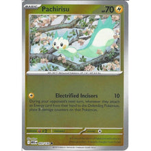 Pachirisu [Reverse Holo] #051/132 - Mega Evolution