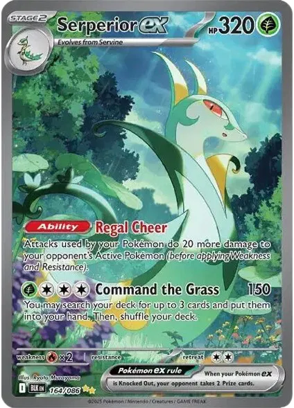 Serperior ex [Special Illustration Rare] #164/086 - Black Bolt