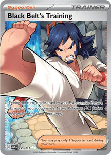 Black Belt's Training [Ultra Rare] ASC #255/217 - Ascended Heroes